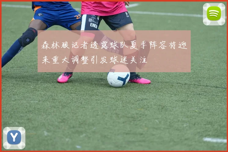 森林狼记者透露球队夏季阵容将迎来重大调整引发球迷关注