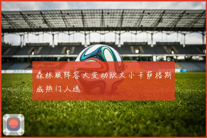 森林狼阵容大变动欧文小卡萨格斯成热门人选